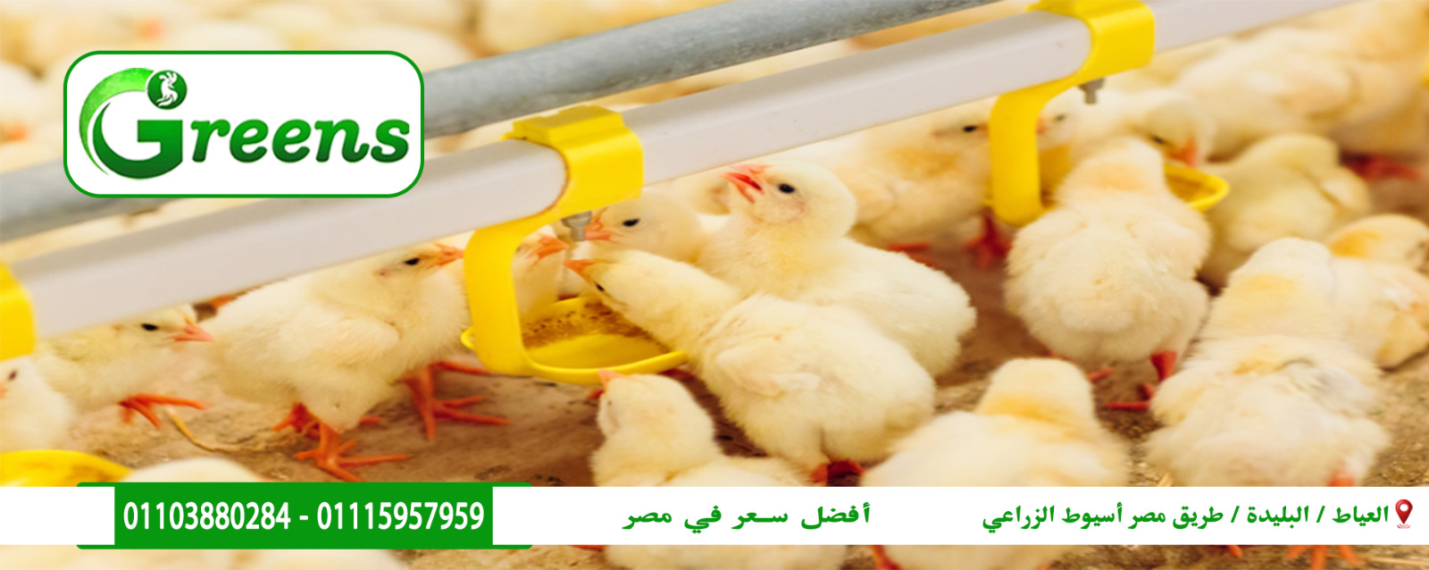 شركة جرينز للتوكيلات التجارية